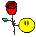 rose3